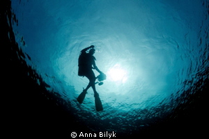 Underwater photographer by Anna Bilyk 